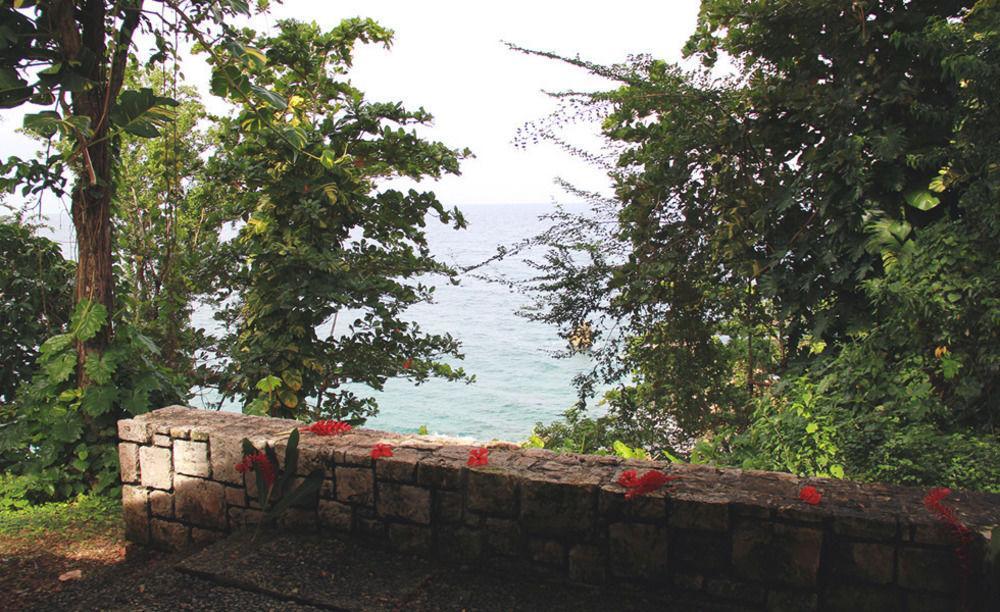 Frenchman'S Cove Hotel Port Antonio Luaran gambar