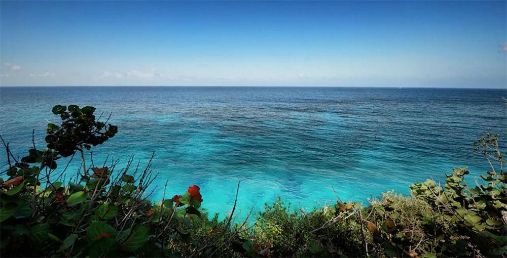 Frenchman'S Cove Hotel Port Antonio Luaran gambar