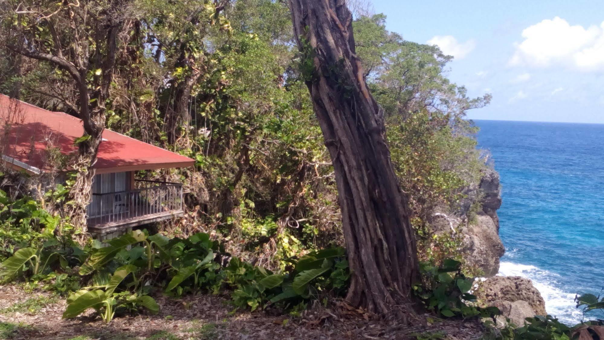 Frenchman'S Cove Hotel Port Antonio Luaran gambar