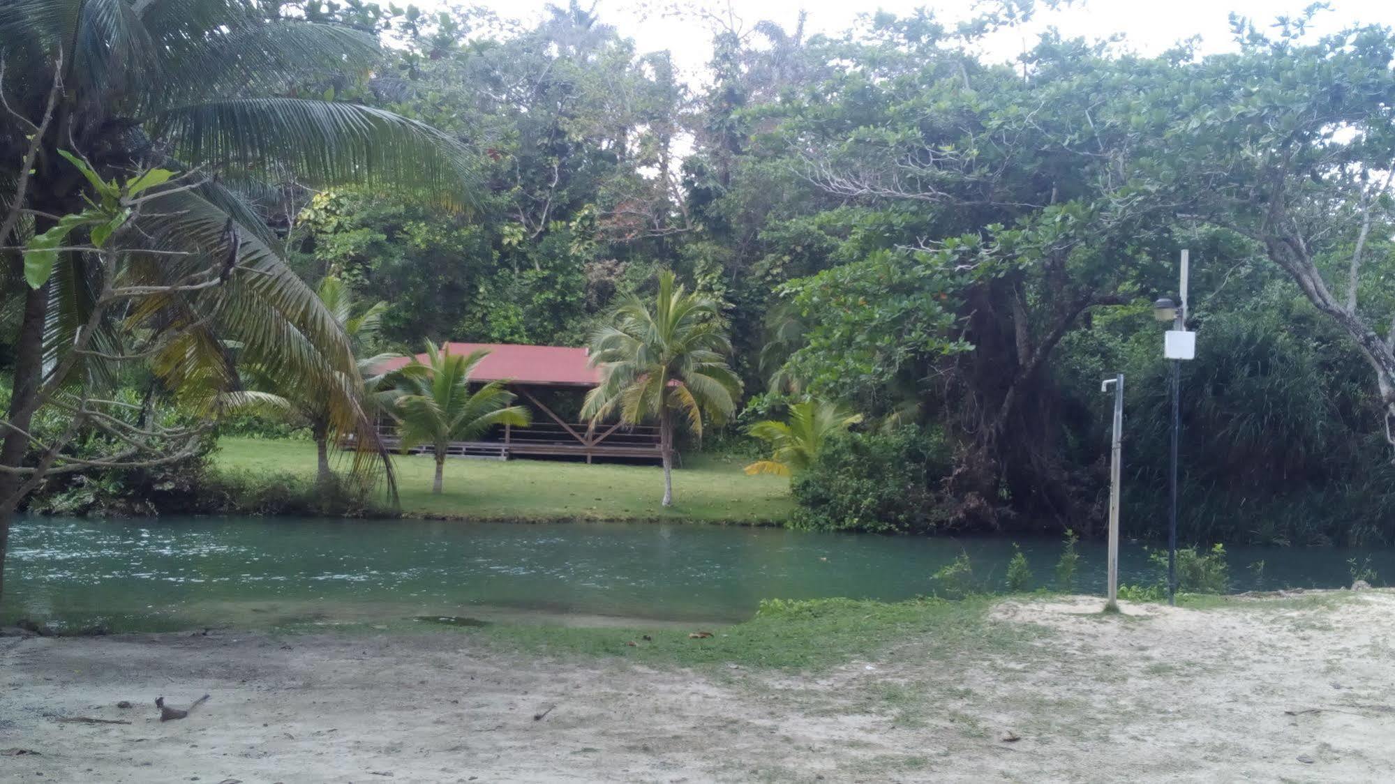 Frenchman'S Cove Hotel Port Antonio Luaran gambar